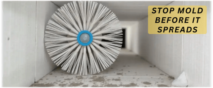 Air Duct Mold Removal in Burbank
