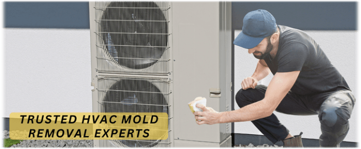 HVAC Mold Removal Burbank